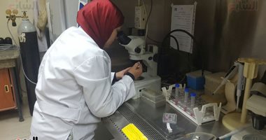 صور.. "القومى للبحوث" يواصل جهوده لتحسين إنتاج مصر من اللحوم والألبان.. المركز يجرى تجاربا لحفظ أجنة الحيوانات بـ"التجميد" ونقلها للأم الحاضنة عند الضرورة والإنتاج منها حتى 50 سنة.. نجاح ولادة 3 عجول أنابيب