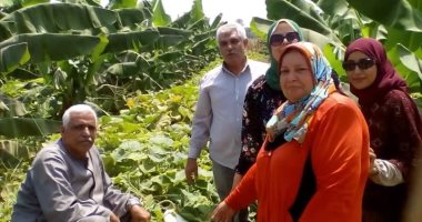 صور.. الباحث الرئيسى لحملة اليقطين يؤكد قدرة النبات على علاج 25 مرضًا