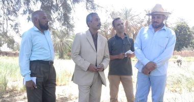 رئيس مركز الداخلة يتفقد مزرعة حكومية بالشيخ والى ويوجه بزراعة الخضراوات 