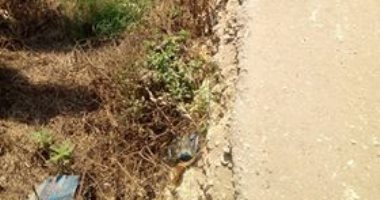 شكوى من تآكل وانهيار طريق بكوم حمادة.. والأهالى يطالبون بتركيب أعمدة إنارة