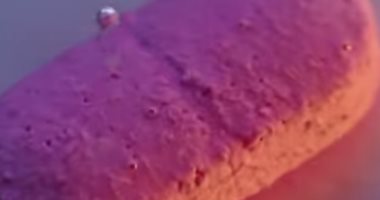 انفجار فى المعدة..هكذا تذوب أقراص الدواء فى جسم الإنسان.. فيديو