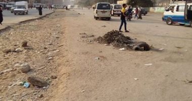 قارئ يشكو من إزالة الأشجار والحدائق فى شارع البحر بطنطا  