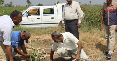 مركز مطاى بالمنيا يواصل فعاليات أسبوع النظافة والتجميل