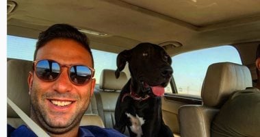من صفاته تناول اللحم بشراهة.. تعرف على كلب "ميدو"