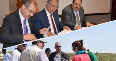 "الساليكورنيا".. نبات سحرى لإنتاج الزيوت عالية الجودة وعلف المواشى.. البحر الأحمر تحدد منطقتى القلعان ووادى حوضين لزراعته بالمياه المالحة.. والمحافظ: زراعته بجوار غابات المانجروف لشدة ملوحة المياه.. "صور"
