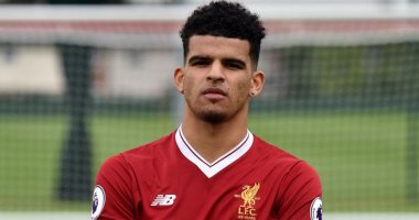 ليفربول يحتفل بميلاد سولانكى