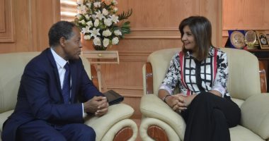 "الهجرة" تعلن إعداد تطبيق تعليمى للغة العربية لأبناء المصريين بالخارج
