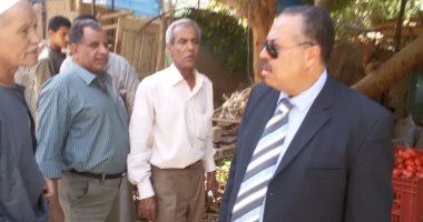 سكرتير مساعد أسيوط يترأس حملة مكبرة بالقرى والمراكز.. وتحرير 2196 محضرا متنوعا 