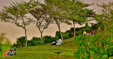 صورة اليوم.. وسط الخضرة.. وحدى لكن ونسان