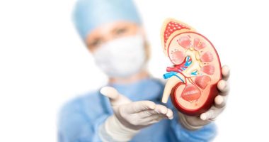 الوقاية خير من العلاج.. 9 نصائح مهمة للحفاظ على صحة الكلى