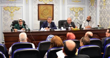 وزيرة الصحة: التعامل الجيد لأطباء الباطنة أنقذ ديرب نجم من كارثة