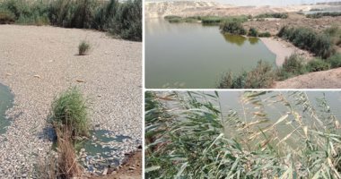 رئيس مدينة الخانكة: بحيرة الاستزراع السمكى بلا أسماك نافقة