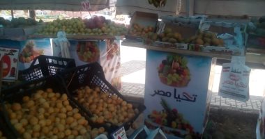 "البلدى يوكل".. ارتفاع صادرات الخضر والفاكهة لـ3 ملايين طن للأسواق العالمية.. 12 محصولا بالمقدمة.. بدء تطبيق قرار "الوزراء" على الشركات المخالفة.. و"المركزى للمبيدات": زيادة تحليل الشحنات المصدرة لـ 1050يوميا