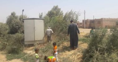 صور.. الحشائش الضارة تتفشى فى الزراعات بقرى وادى الصعايدة بأسوان