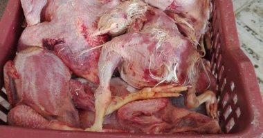 التموين تضبط 15 طن أغذية مجهولة المصدر فى حملات متعددة