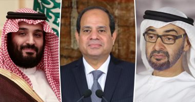 كاتب موريتانى يدعو العرب للالتفاف حول السيسى ومحمد بن سلمان ومحمد بن زايد