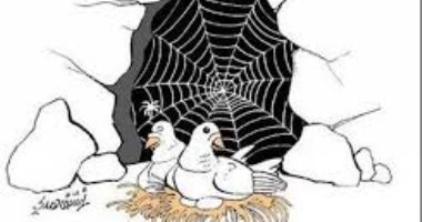 حسن صادق هيكل  يكتب: إيجابيات الهجرة