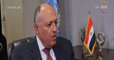 فيديو.. وزير الخارجية: القضية الفلسطينية من أهم القضايا محل النقاش مع الولايات المتحدة