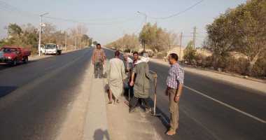 صور.. أسيوط تستعد لزيارة رئيس الوزراء لتفقد مشروعات بالمحافظة غدا 