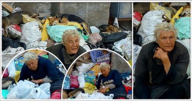 صور.. بعد نشر اليوم السابع لقصتها.. محافظ بورسعيد يأمر بإيداع سيدة تعيش وسط الكلاب الضالة فى مستشفى الصحة النفسية.. وأحد جيرانها: البلطجية طاردوها بعد فقدانها والديها.. والسيدة: ربنا هو اللى بيساعد وعايزة أهلى