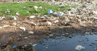 كارثة إنسانية.. قرية أبودرة بالبحيرة تعوم على مياه الصرف