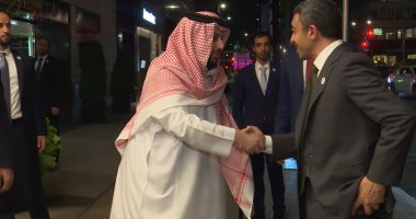 فيديو.. الشيخ عبدالله بن زايد يزور تركى آل شيخ فى نيويورك للإطمئنان على صحته