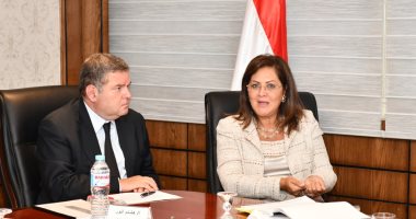 التخطيط تشكل لجنة لوضع النظام الأساسى للصندوق السيادى وإصداره أكتوبر المقبل