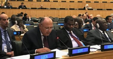شكرى: مصر لن تدخر جهداً لتحقيق سلام عادل وشامل يكفل حقوق فلسطين