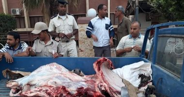 ضبط لحوم غير صالحة للاستهلاك الآدمى فى حملة تموينية بسوهاج