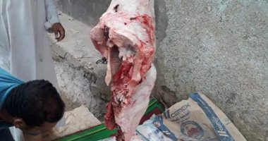 صور.. ضبط 220 كيلو لحوم فاسدة فى حملة تموينية بمدينة طما فى سوهاج