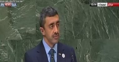 وزير خارجية الإمارات: دول مارقة تقدم الدعم للجماعات الإرهابية