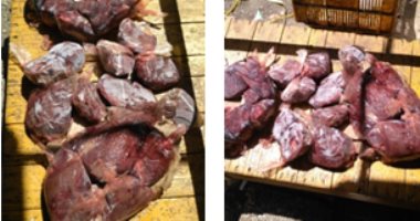 مباحث التموين تضبط 62 طنا و14ألف عبوة سلع ومواد غذائية مجهولة المصدر