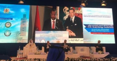 الجامعة العربية تدعو لدعم السوق العربى المشترك للكهرباء