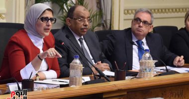 وزير التنمية المحلية يكلف 9 محافظات بتقديم الدعم للأطقم الطبية للقضاء على فيروس سى