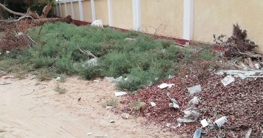 القمامة والنباتات الشوكية تحاصر مبنى التطوير التكنولوجى بالوادى الجديد