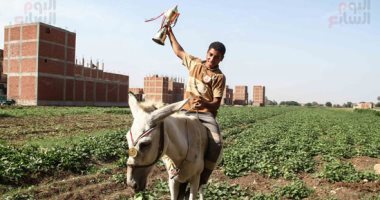 بحبك يا حمار.. ماراثون الحمير بالبراجيل للترفيه عن البسطاء والجايزة "كأس"