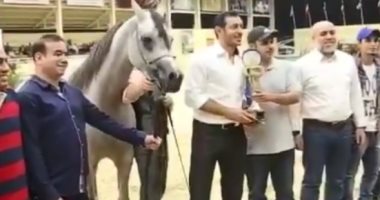 شاهد.. خيول مصطفى شعبان الأجمل.. "هيفن " و"بدور " يفوزان بالأول والخامس