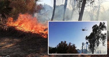 وزير الزراعة يشيد بجهود القوات المسلحة فى إطفاء حريق الوادى الجديد