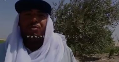 فيديو.. مزارعو الريان يستغيثون بوزير البيئة لتقنين أوضاعهم