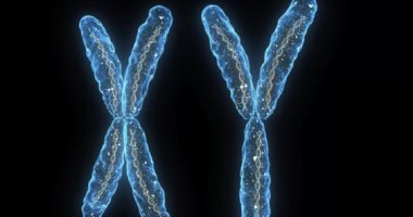 اعرف جسمك.. 6 حقائق مهمة لا تعرفها عن كروموسوماتك الحاملة للحمض النووى
