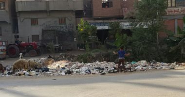 قارئ يشكو تراكم القمامة بقرية برج نو الحمص فى محافظة الدقهلية