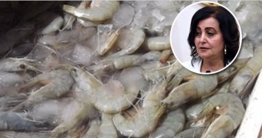 وجبة شهية لـ"الجمبرى" فى بحيرة قارون.. "الزراعة" تلجا لـ "الفانمى" للقضاء على طفيل الأيذوبودا  بعد خسائر فادحة لعائلة أسماك البورى.. الثروة السمكية: توقف الصيد 3 أشهر .. وتؤكد: يزيد الانتاج ويحسن البيئة