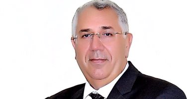 السيد القصير: تولى مصر 3 مناصب أفريقية يؤكد دورها الإقليمى ونجاح الإصلاح