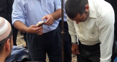 صحة الشرقية: تحرير 37 محضراً لمنشآت غذائية فى 4 مراكز 