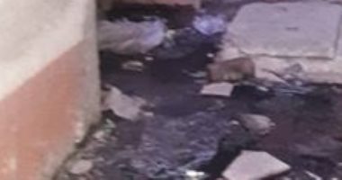 غرق مساكن الشباب بالشرقية بمياه الصرف الصحى