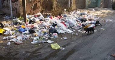قارئ يشكو من انتشار القمامة فى حى روض الفرج