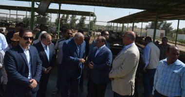 وزير التنمية المحلية يتفقد مصنع مخلفات النخيل بمدينة الخارجة