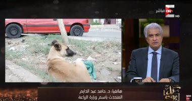 متحدث "الزراعة": قتل الكلاب ينفذ على أساس بلاغات المواطنين