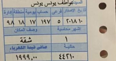 مواطن يشكو مطالبته بسداد فاتورة كهرباء بـ2000 جنيه ولا يملك إلا مروحة وثلاجة