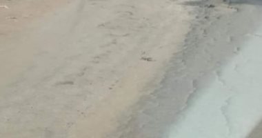 قارئ يشكو تدهور طريق "تيرة- أبشان" بالمحلة الكبرى